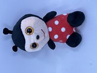7in Black Beetle (plastic eyes) 310-32